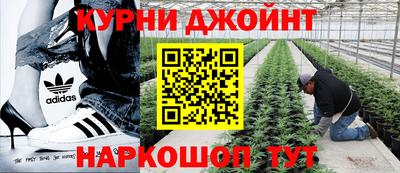 ECSTASY Заводоуковск