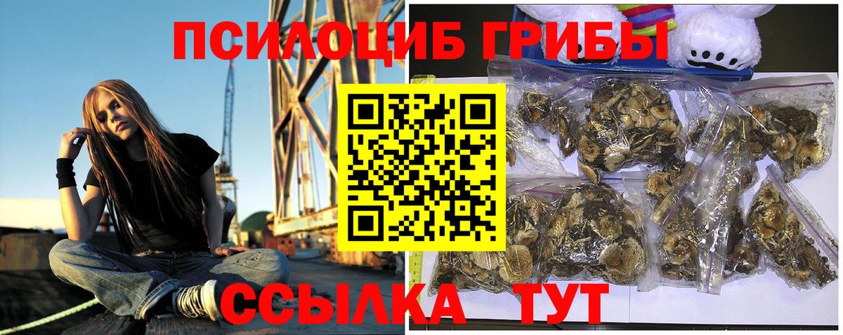 Тверь  Галлюциногенные грибы ЛСД  Псилоцибиновые грибы мицелий  Вход с VPN 